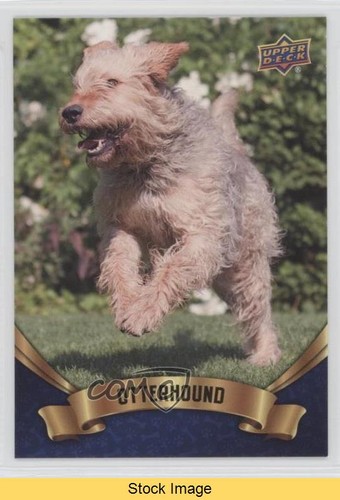 2018 upper deck canine - 2018,
